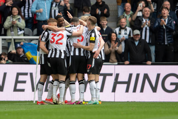 在意甲赛场 在意甲赛场